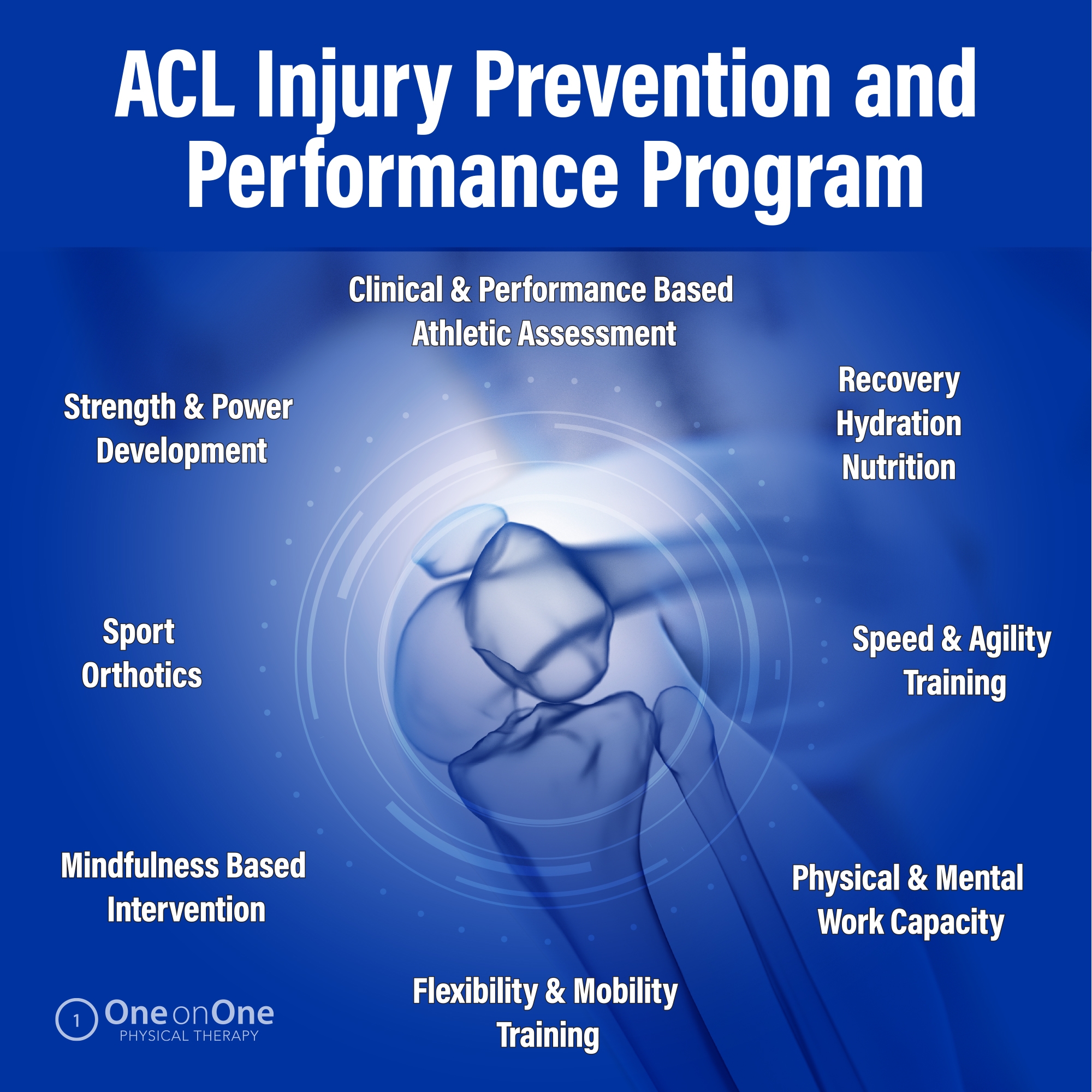 ACL Injury Prevention and Performance Enhancement Program