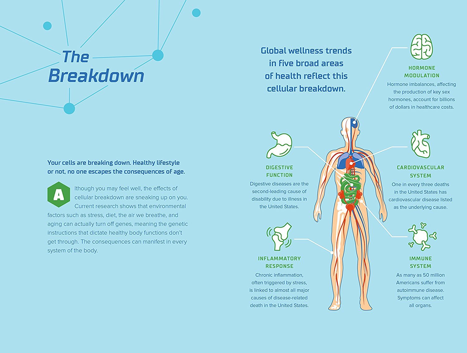 Global wellness trends in five broad areas of health reflect the process of cellular breakdown.