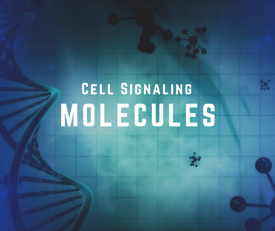 cell-signaling