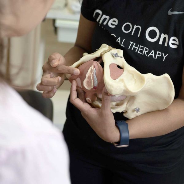 Physical Therapy For Pelvic Pain One On One Physical Therapy