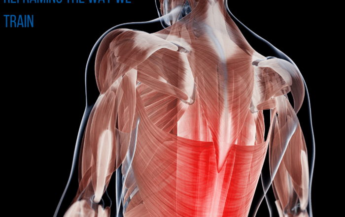 The-Glutes-of-the-Upper-Extremity-Reframing-the-way-we-train
