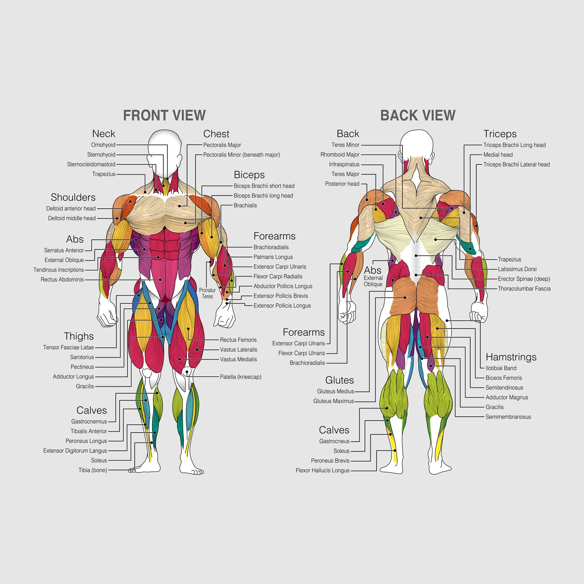 Strength Training: Enhance Your Health and Performance at One on One Physical Therapy